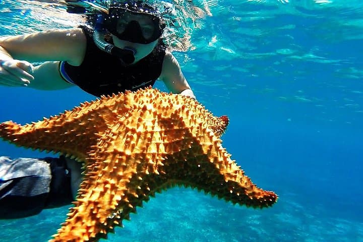 Cancun Speedboat and Snorkel Adventure in Nichupté Lagoon and Caribbean Reef photo 1