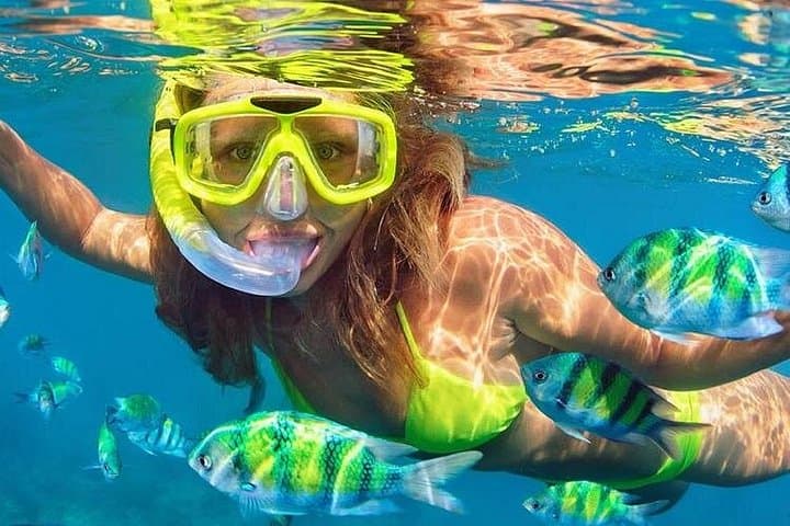 Cancun Speedboat and Snorkel Adventure in Nichupté Lagoon and Caribbean Reef photo 3