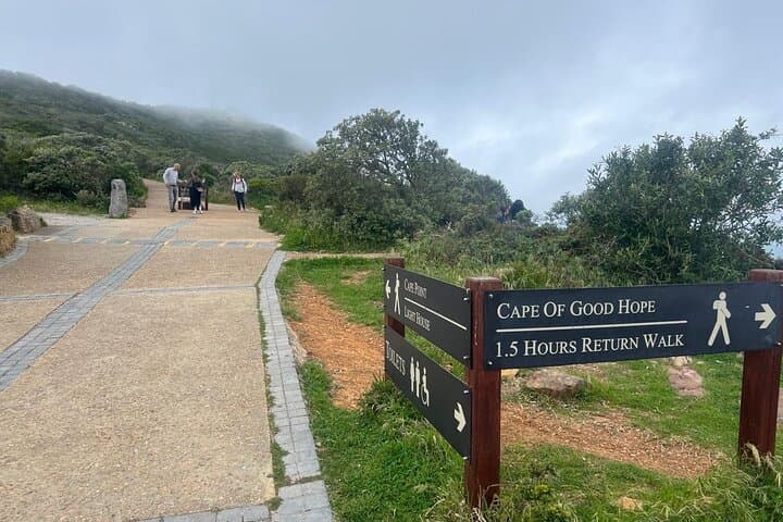 Cape Peninsula Full-Day Tour: Chapman's Peak, Cape Point & Boulders Beach Penguins photo 2