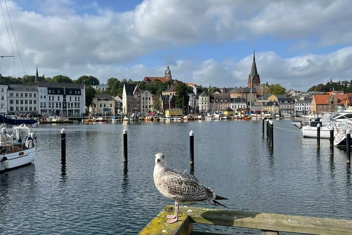 Running Tour Flensburg: 6–12 km City Run with Insider Tips photo 2