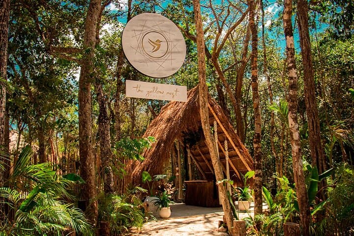 Tulum Cenote & Temazcal: Floating Breakfast and Cavern Tour photo 5