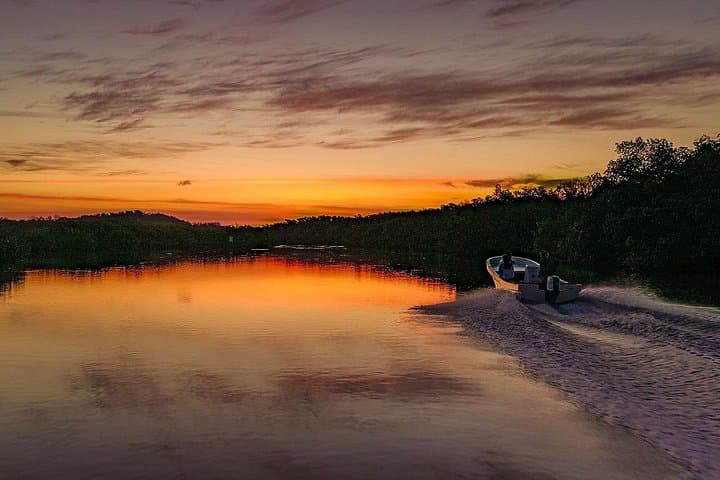 Sunset Flamingo Boat Tour in Río Lagartos with Wine and Snacks
