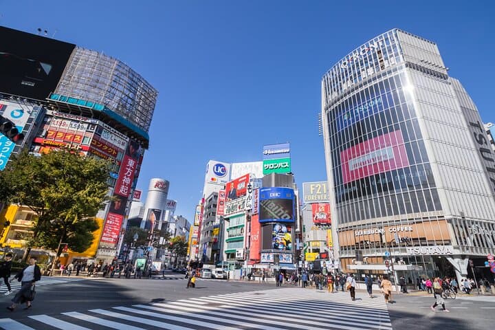 Tokyo 7-Hour Private Guided Tour with Narita Airport Drop-Off
