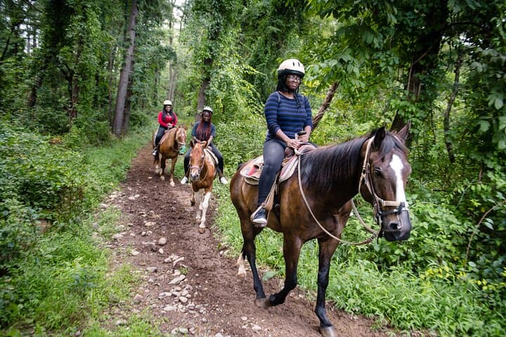 Half-Day Mountain Horseback Ride from Punta Cana to Miches photo 2