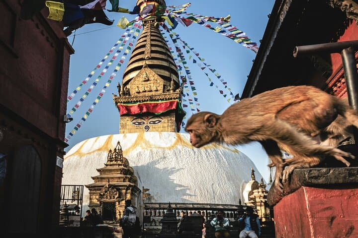 Full-Day Private Kathmandu Heritage Tour: Swayambhunath, Pashupatinath, Boudhanath & Durbar Square photo 3