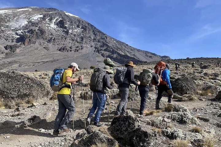 Whisky Route: 6-Day Kilimanjaro Climb via the Machame Route to Uhuru Peak photo 6