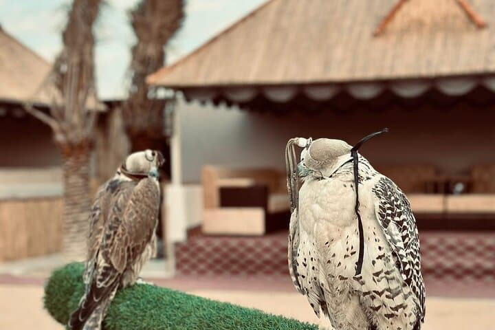 Abu Dhabi Desert Safari: 7-Hour Dune Bashing, Camel Ride & BBQ Experience photo 2