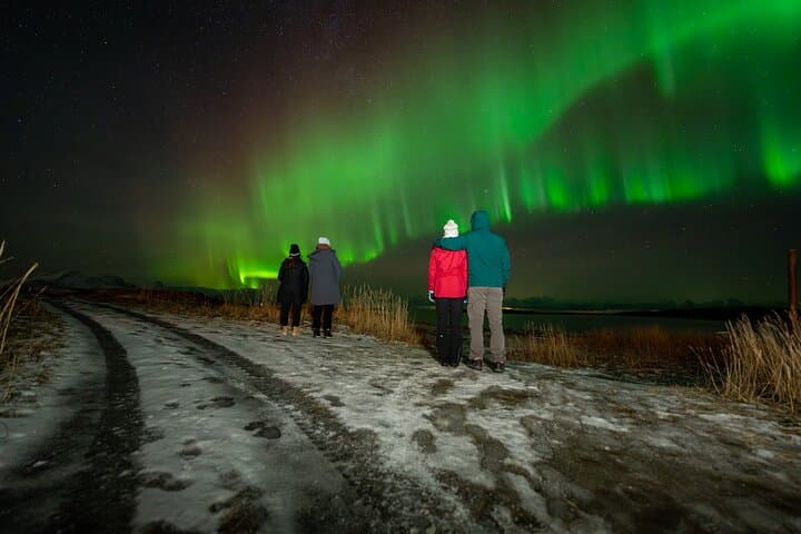 Chasing the Northern Lights from Bodø: Small-Group Aurora Safari (6–8 hrs) photo 3