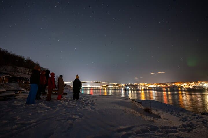 Chasing the Northern Lights from Bodø: Small-Group Aurora Safari (6–8 hrs) photo 5