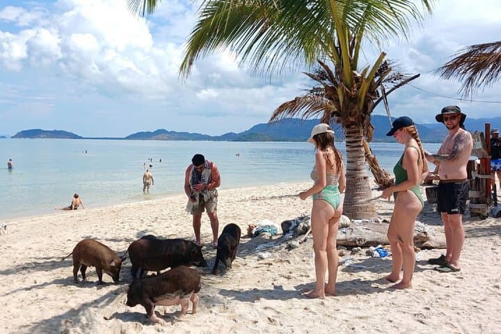 Koh Samui Island Hopping: Coral Snorkeling & Pig Island Day Tour photo 1