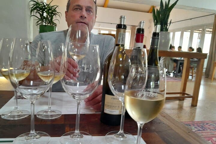 Private Winelands Wine Tasting in Stellenbosch & Franschhoek: A Full-Day Pairing Tour photo 5
