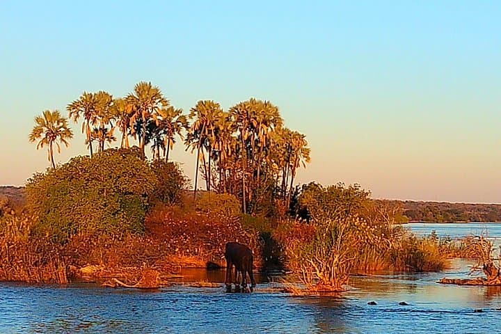 Zambezi Sunset Safari Cruise: Victoria Falls Wildlife & Sundowner Boat Tour photo 3