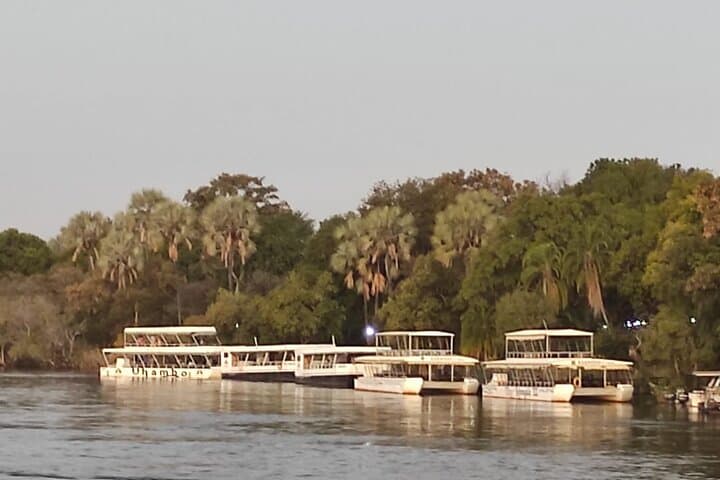 Zambezi Sunset Cruise at Victoria Falls — Standard Boat & Wildlife Experience photo 1
