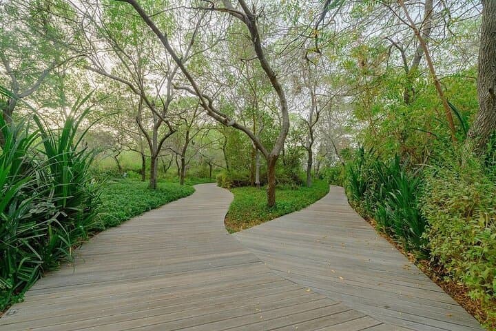 Explore Al Noor Island — Sharjah Botanical Gardens, Butterfly House & Art Installations photo 5
