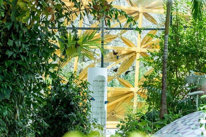 Explore Al Noor Island — Sharjah Botanical Gardens, Butterfly House & Art Installations photo 6