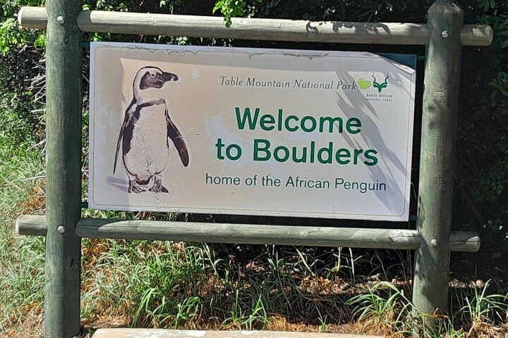 Cape Point & Boulders Beach Half-Day Penguin and Coastal Wildlife Tour photo 3