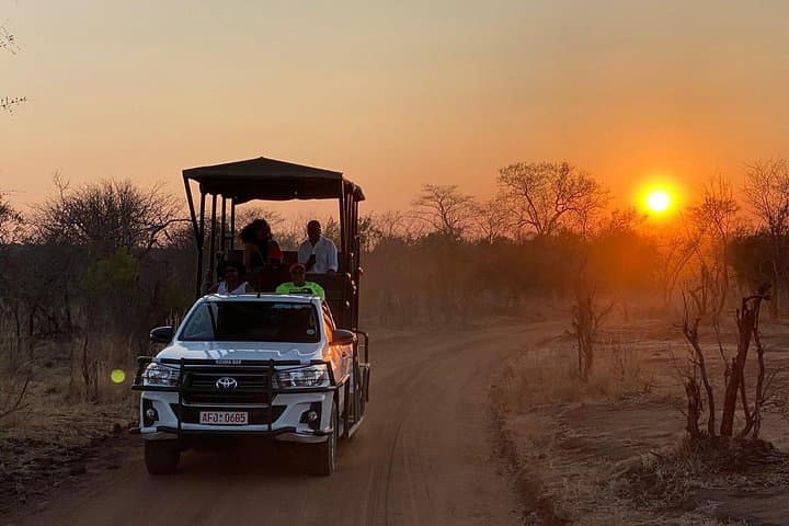 Chobe Intimate Safari: Full-Day Land & River Game Experience from Victoria Falls photo 4