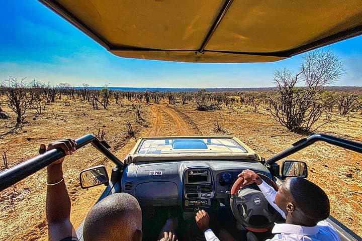 Zambezi National Park Small-Group Dry Game Drive: Morning & Afternoon Safaris photo 4