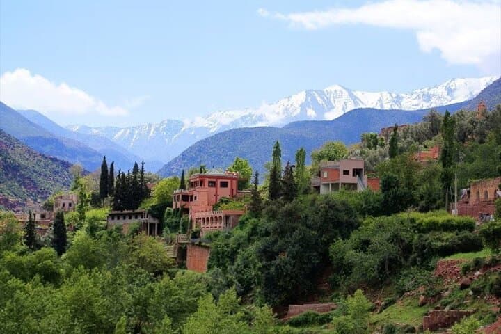 Day Trip from Marrakech to the Atlas Mountains & Ourika Valley Waterfalls photo 2
