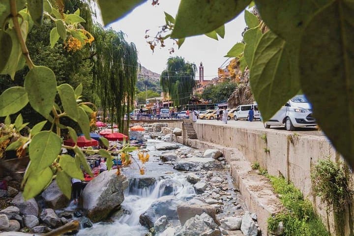 Day Trip from Marrakech to the Atlas Mountains & Ourika Valley Waterfalls photo 3