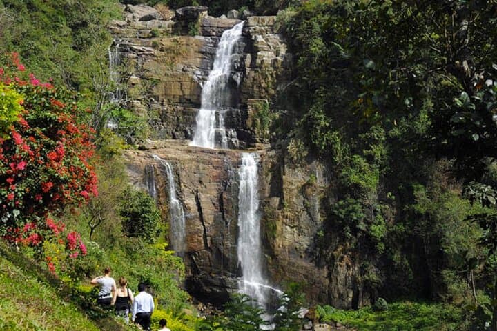 Tea Plucking & Pedro Factory Tour from Nuwara Eliya — Hands-On Ceylon Tea Experience photo 4