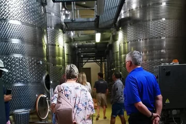 All-Inclusive Private Wine Tour in Stellenbosch's Cape Winelands — Tastings & Hidden Estates photo 4