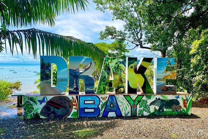 Sirena Station Corcovado Day Tour — Wildlife Hike from Drake Bay photo 4