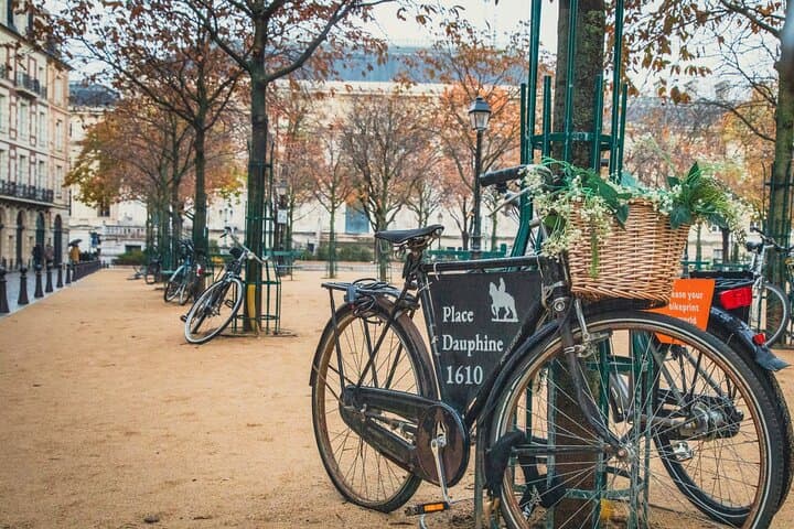 Paris Medieval Marais & Île de la Cité Walking Tour — Notre-Dame History Walk photo 4
