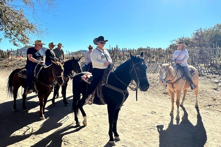 Joshua Tree & Buffalo Horseback Ride with Lunch near Kingman