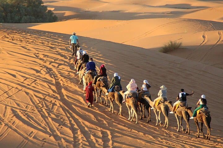 4-Day Marrakech to Fes Desert Tour via Merzouga: Camel Treks, Gorges & Ait Benhaddou photo 3
