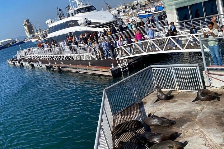 Robben Island Day Tour from Cape Town — Pre-Booked Tickets & Transfers