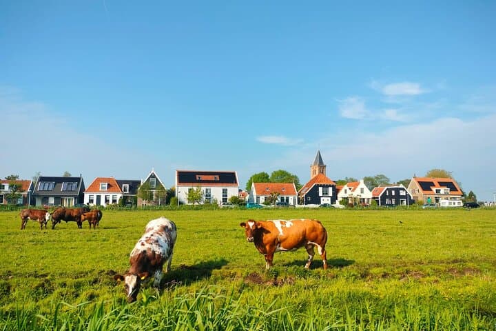 Amsterdam Countryside Bike Tour: Polders, Locks & Local Ice Cream photo 1