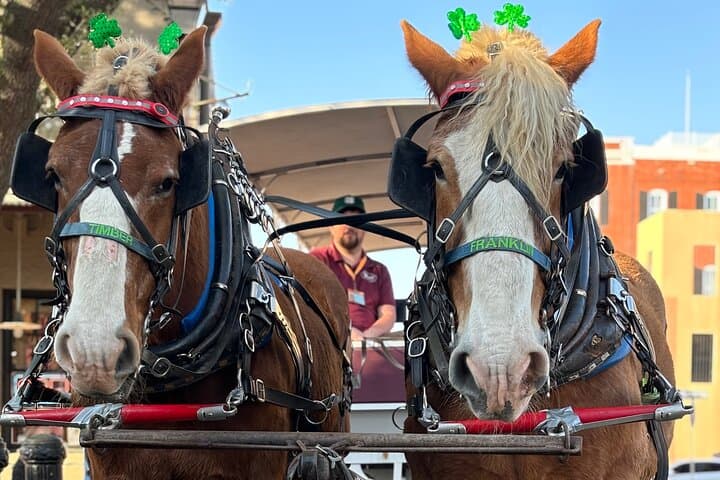 Savannah Horse-Drawn Daytime Tour: 50-Minute Narrated Historic Carriage Ride photo 4