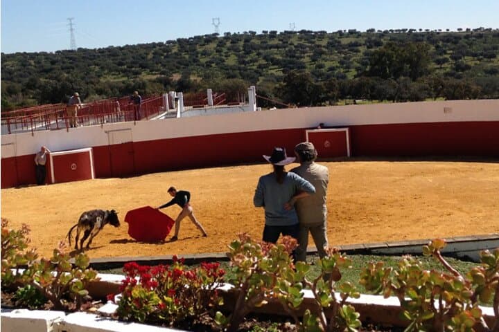 Brave Bull Farm Visit Near Seville — Andalusia Ranch Tour & Bull Breeding Experience photo 5