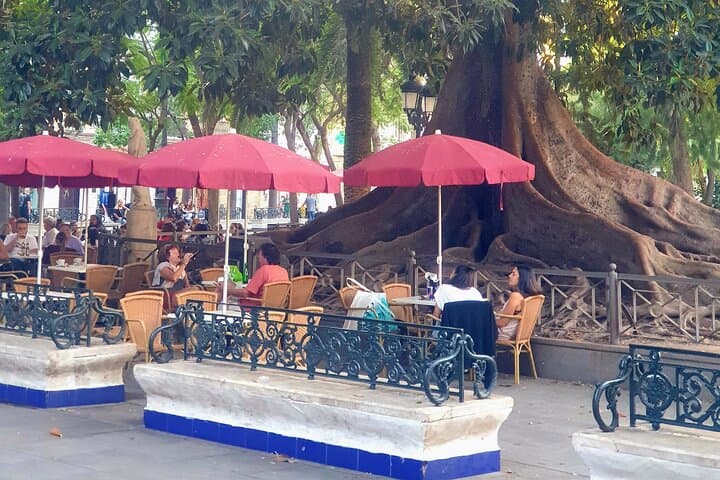 Live Like a Local in Cádiz: French-Language Walking Tour of Neighborhood Life photo 4