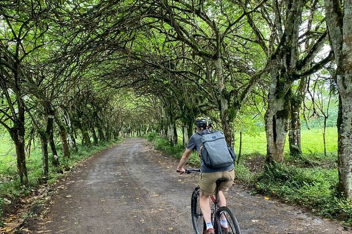 Electric Bike Tour to Giant Tortoises in Santa Cruz Highlands photo 6