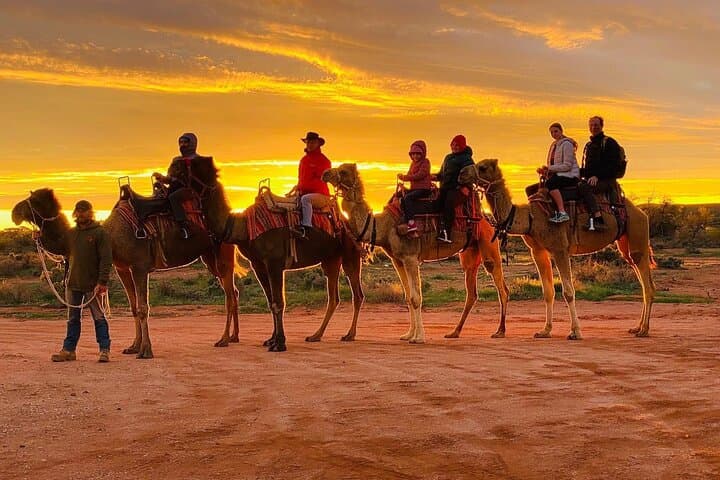 Sunset Camel Ride in Agadir: Eucalyptus Trails, Flamingos & Berber Barbecue