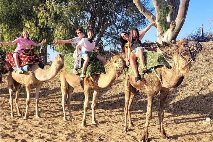 Agadir Paradise Valley: 2-Hour Quad & Camel Ride Combo photo 3