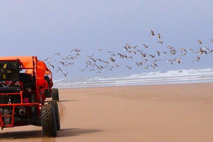 Agadir Dune Buggy Adventure: Forest Tracks, Berber House & Coastal Dunes photo 3