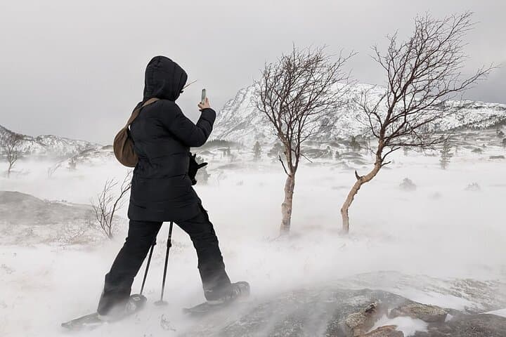 Snowshoeing in Bodø: Arctic Winter Day Trip & Northern Lights Hikes photo 4