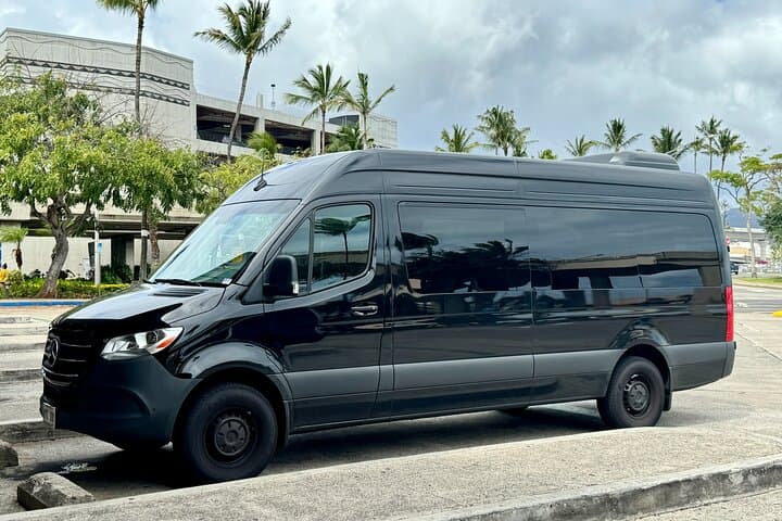 Waikiki to HNL: Private 12‑Passenger Van Transfer for Easy Arrival and Departure