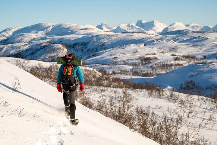 Snowshoeing in Bodø: Arctic Winter Day Trip & Northern Lights Hikes photo 2