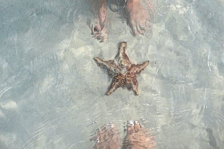 Cayman Ultimate Tour: Swim with Stingrays, Starfish Point & Crystal Caves photo 2