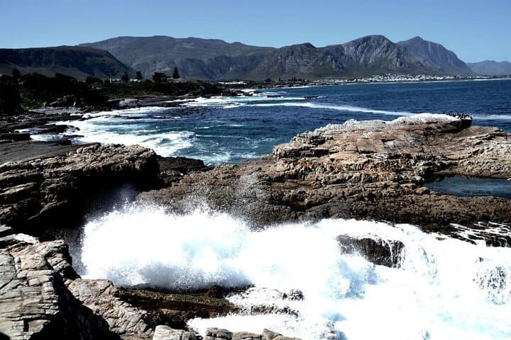 Cape Agulhas to Hermanus: Full-Day Private Tour, Penguins & Wine photo 2
