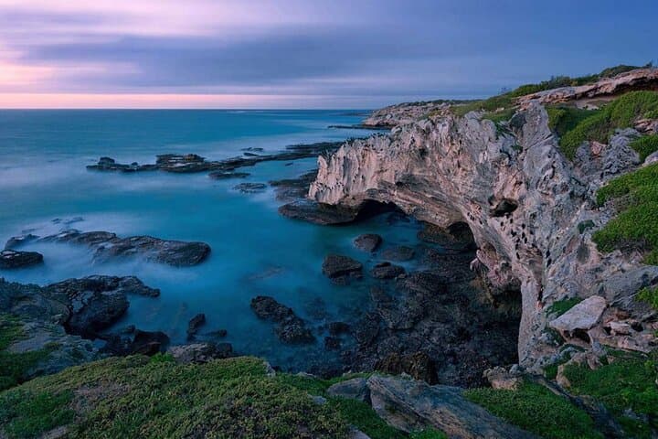 Cape Agulhas to Hermanus: Full-Day Private Tour, Penguins & Wine photo 4