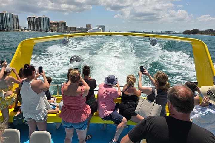 Sea Screamer Speed Boat Dolphin Tour — Clearwater Beach Dolphin Watching Cruise photo 4