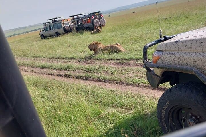 7-Day Kenya Safari: Nairobi to Amboseli, Naivasha, Nakuru & Maasai Mara photo 4