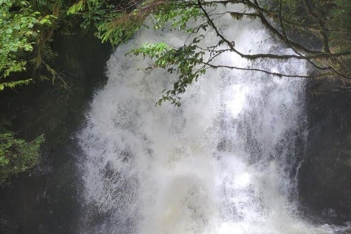 Ketchikan Wildlife & Waterfall Van Tour: Rotary Beach, Herring Cove, South-End Falls photo 4