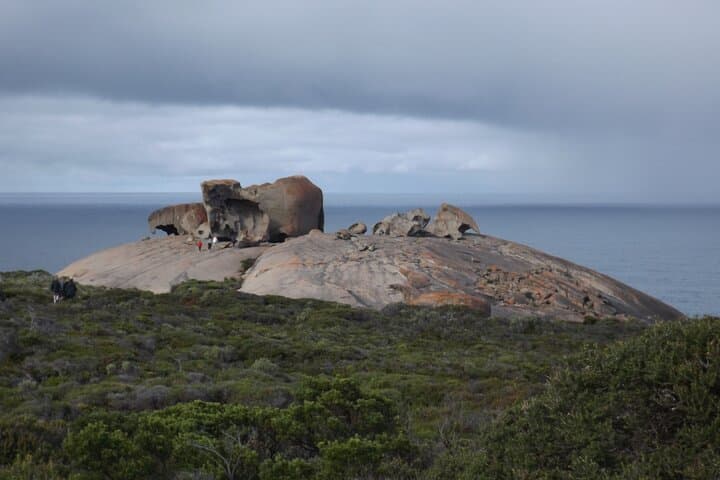 Kangaroo Island in a Day: Seal Bay, Remarkable Rocks, and Flinders Chase Highlights