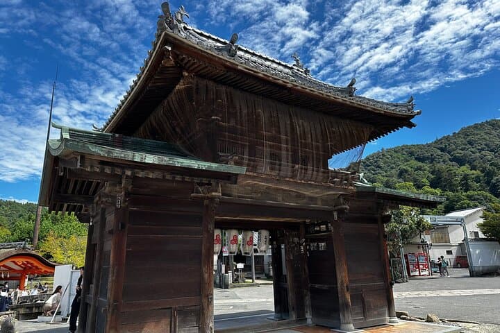 Hiroshima Full-Day Private Guided Tour: Peace Memorial Park & Miyajima photo 6